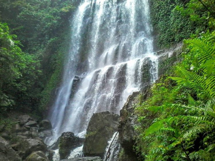 Curug Krikil: Surga Tersembunyi di Hati Cilacap
